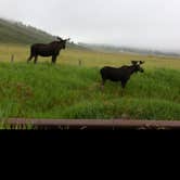 Review photo of Gros Ventre Campground — Grand Teton National Park by Annie C., July 31, 2016