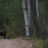 Review photo of East Park Campground - Ashley National Forest by Jennifer C., August 17, 2018