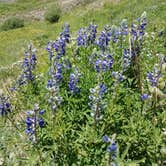 Review photo of Gunnison National Forest Lake Irwin Campground by Jennifer C., August 17, 2018