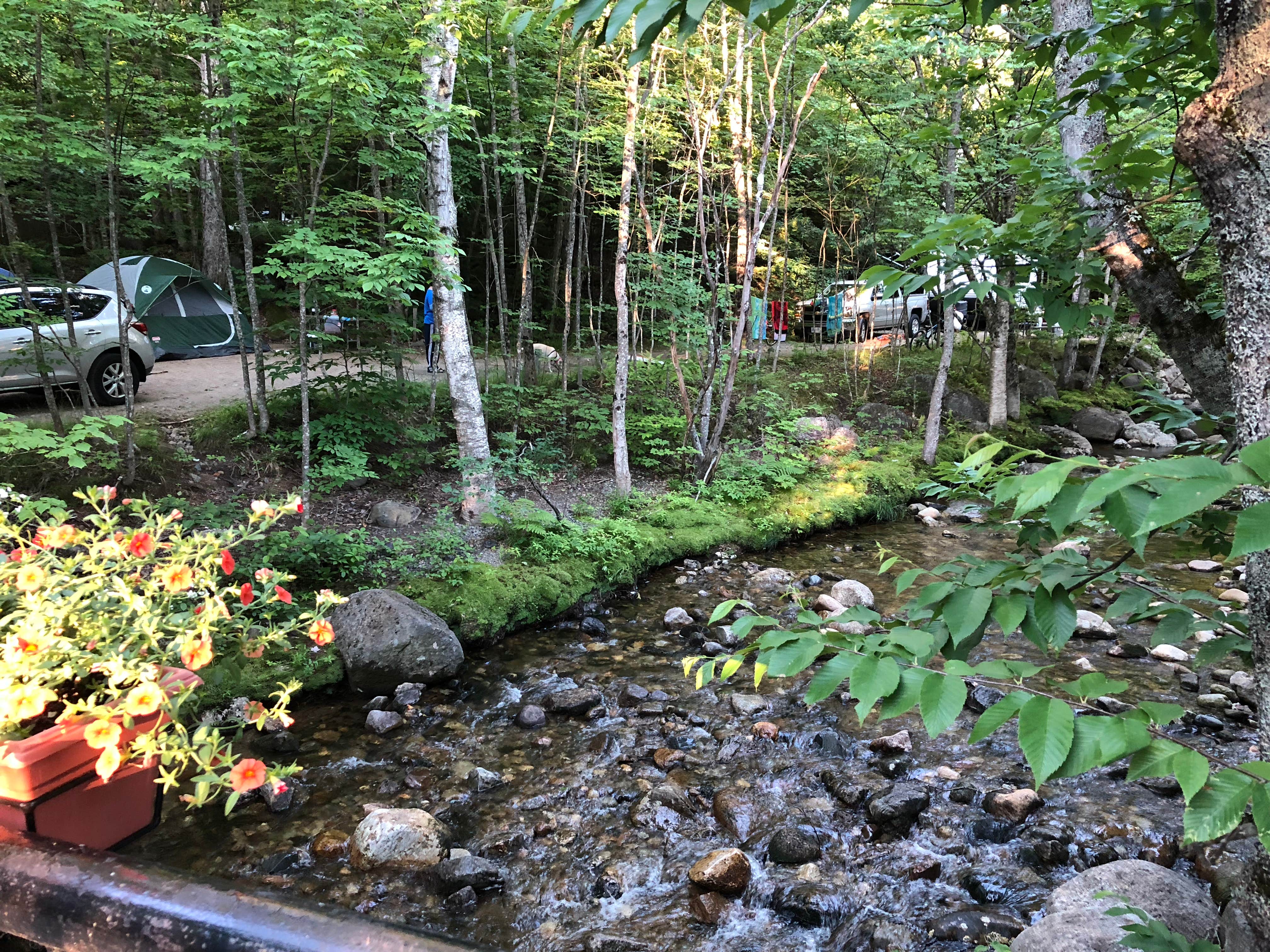 Sarah S.'s photo at Lost River Valley Campground near North Woodstock, NH