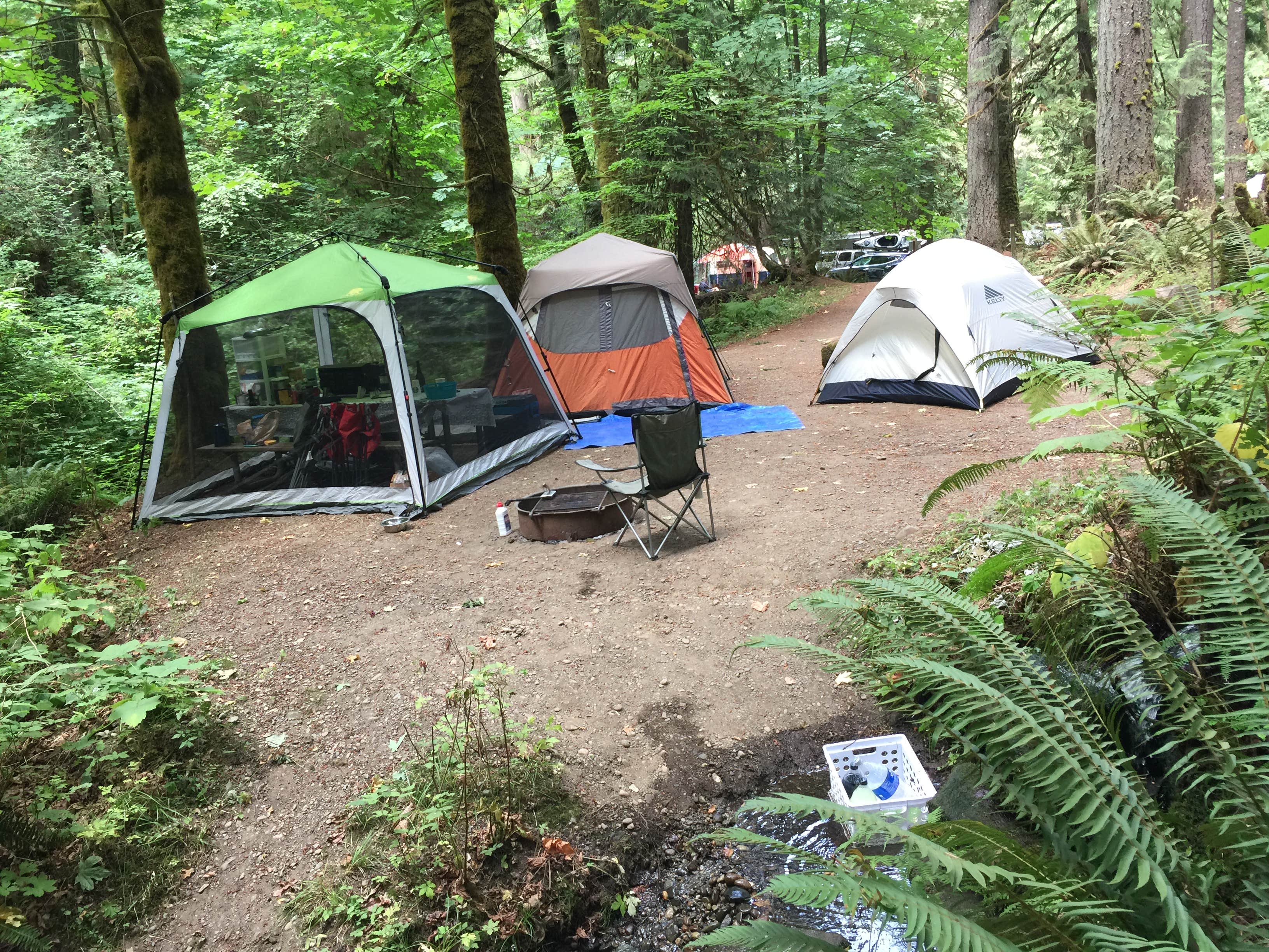 Camper submitted image from Twanoh State Park Campground - 5