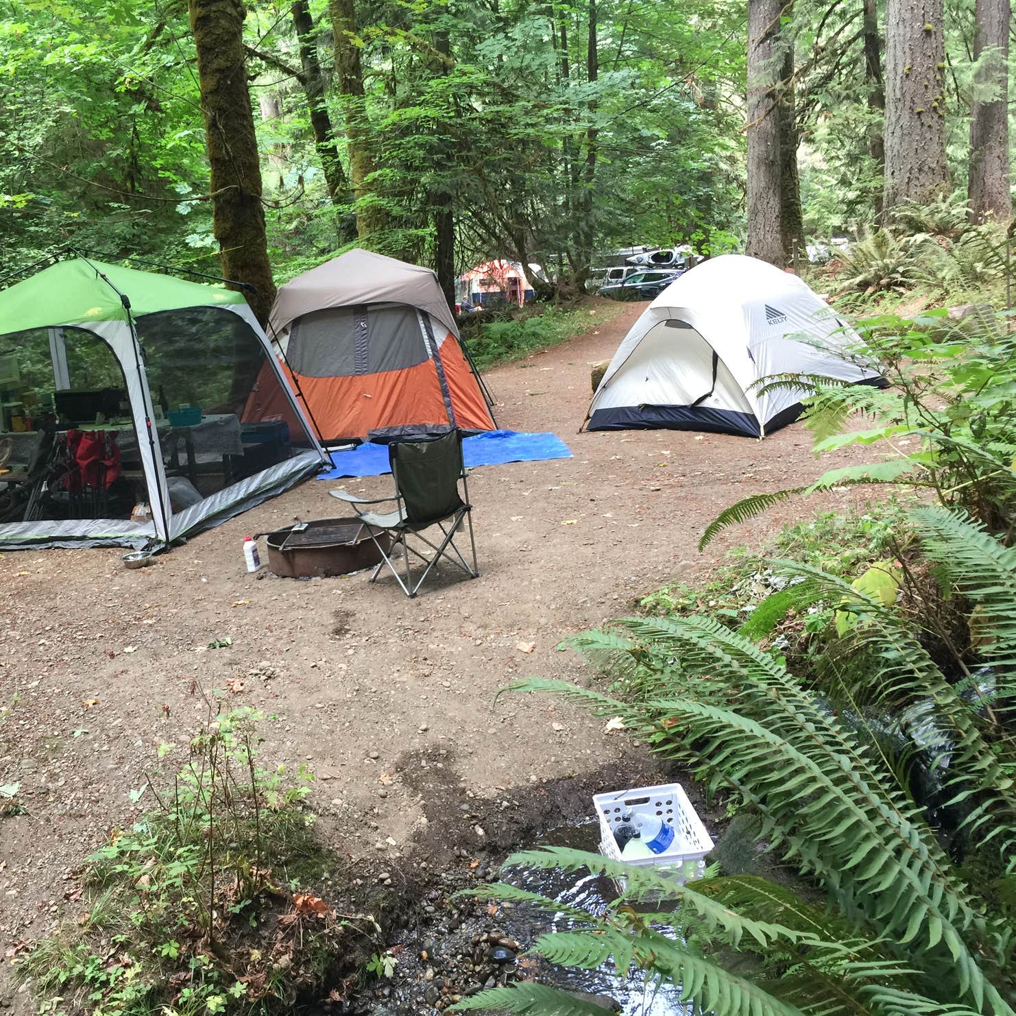 Twanoh State Park Camping | The Dyrt