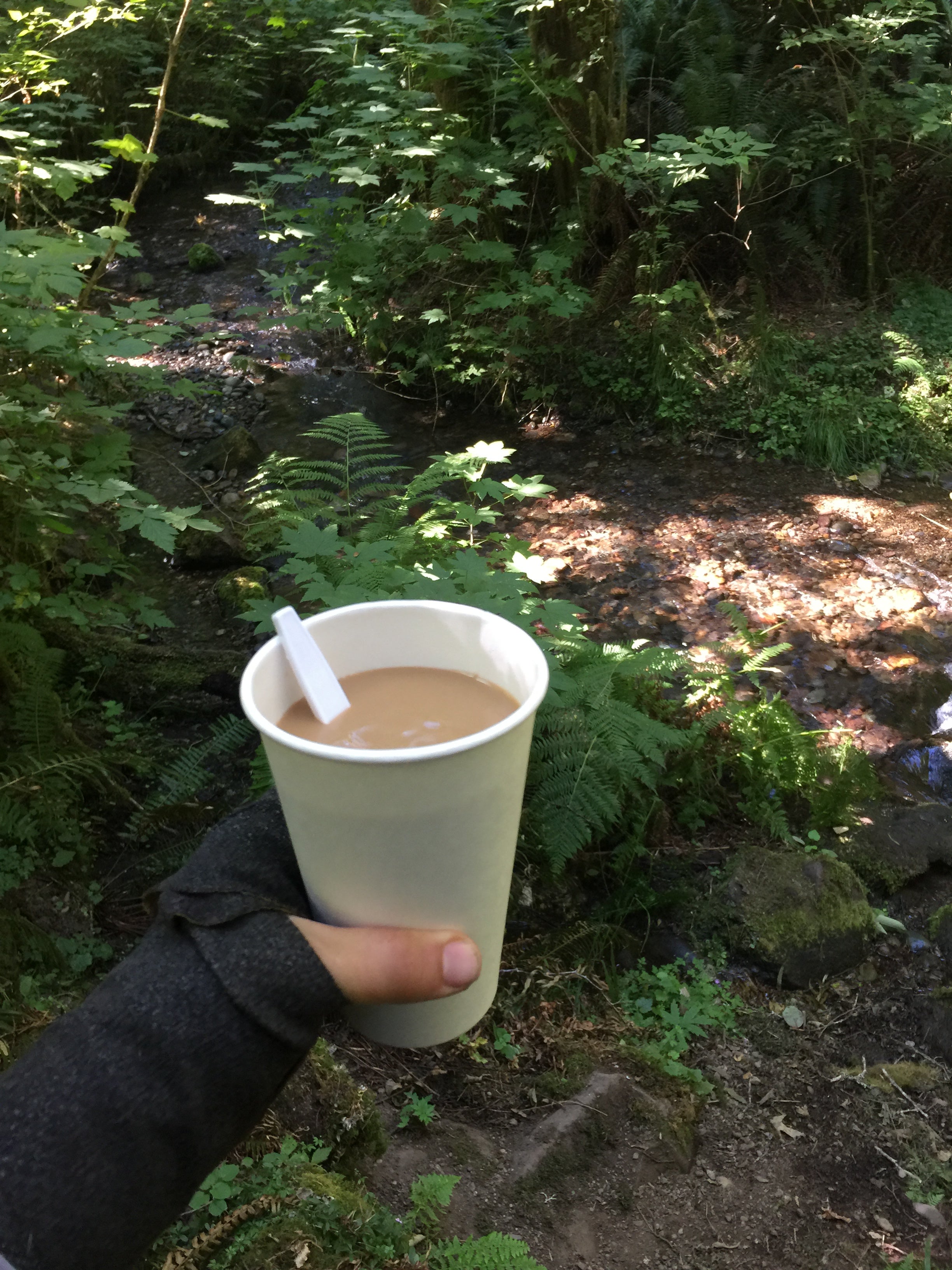 Perfect way to have a coffee by a creek