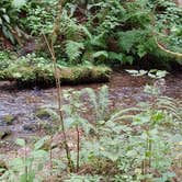 Review photo of Twanoh State Park Campground by Natashinka C., August 17, 2018