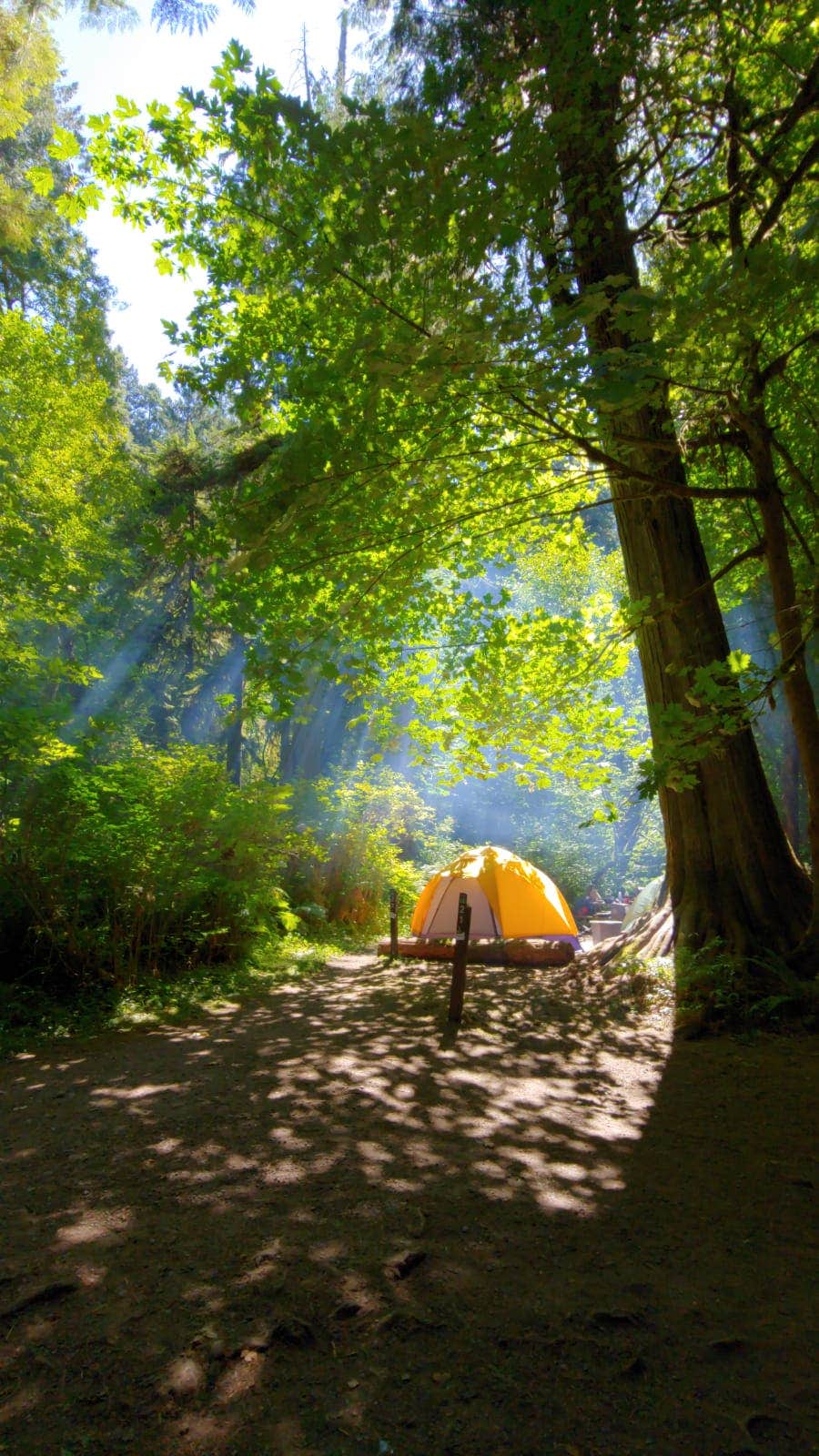 Natashinka C.'s photo at Twanoh State Park Campground near Wauna, WA