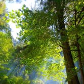 Review photo of Twanoh State Park Campground by Natashinka C., August 17, 2018