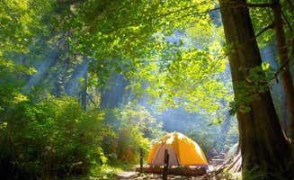 Natashinka C.'s photo at Twanoh State Park Campground near Wauna, WA