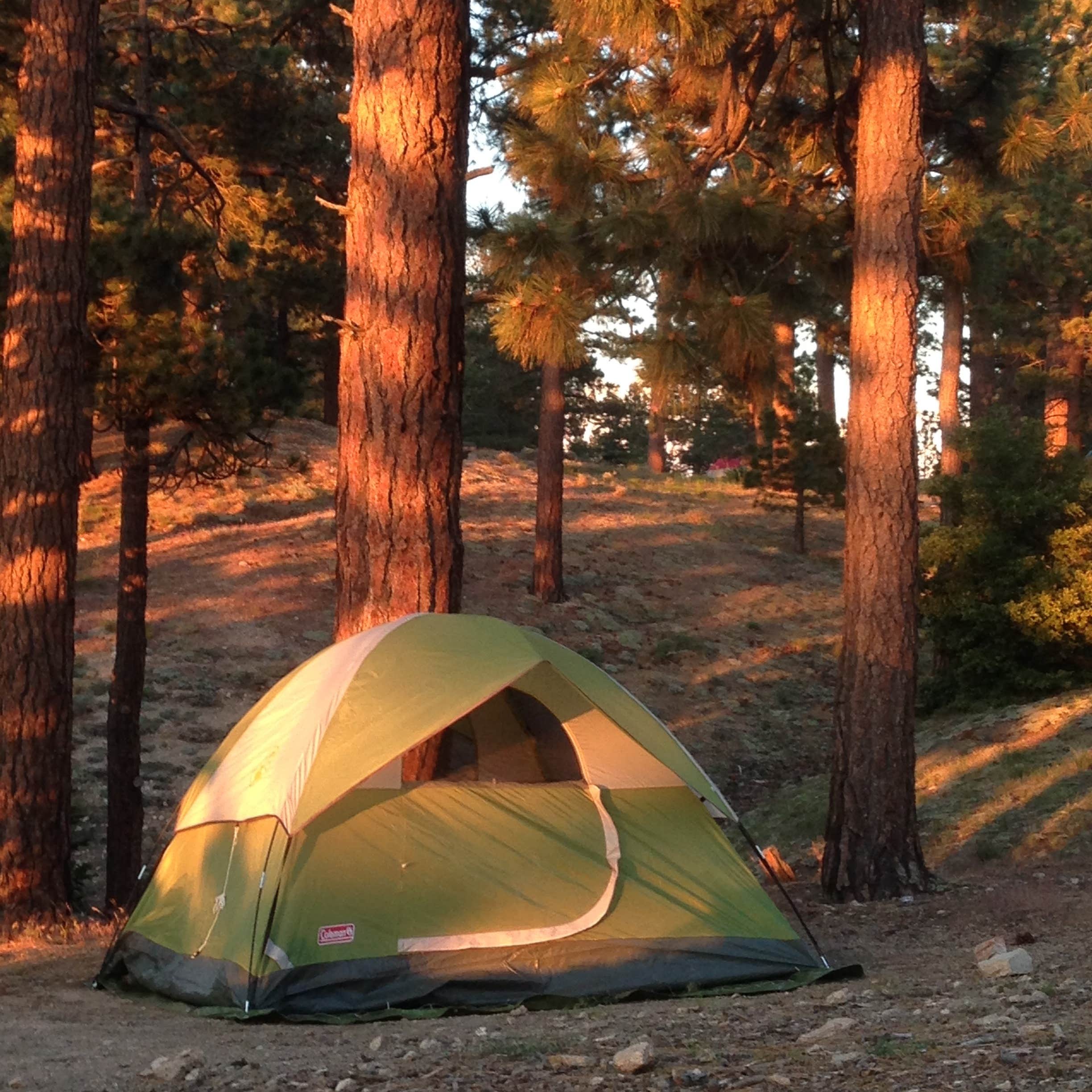 Table Mountain Campground Camping The Dyrt