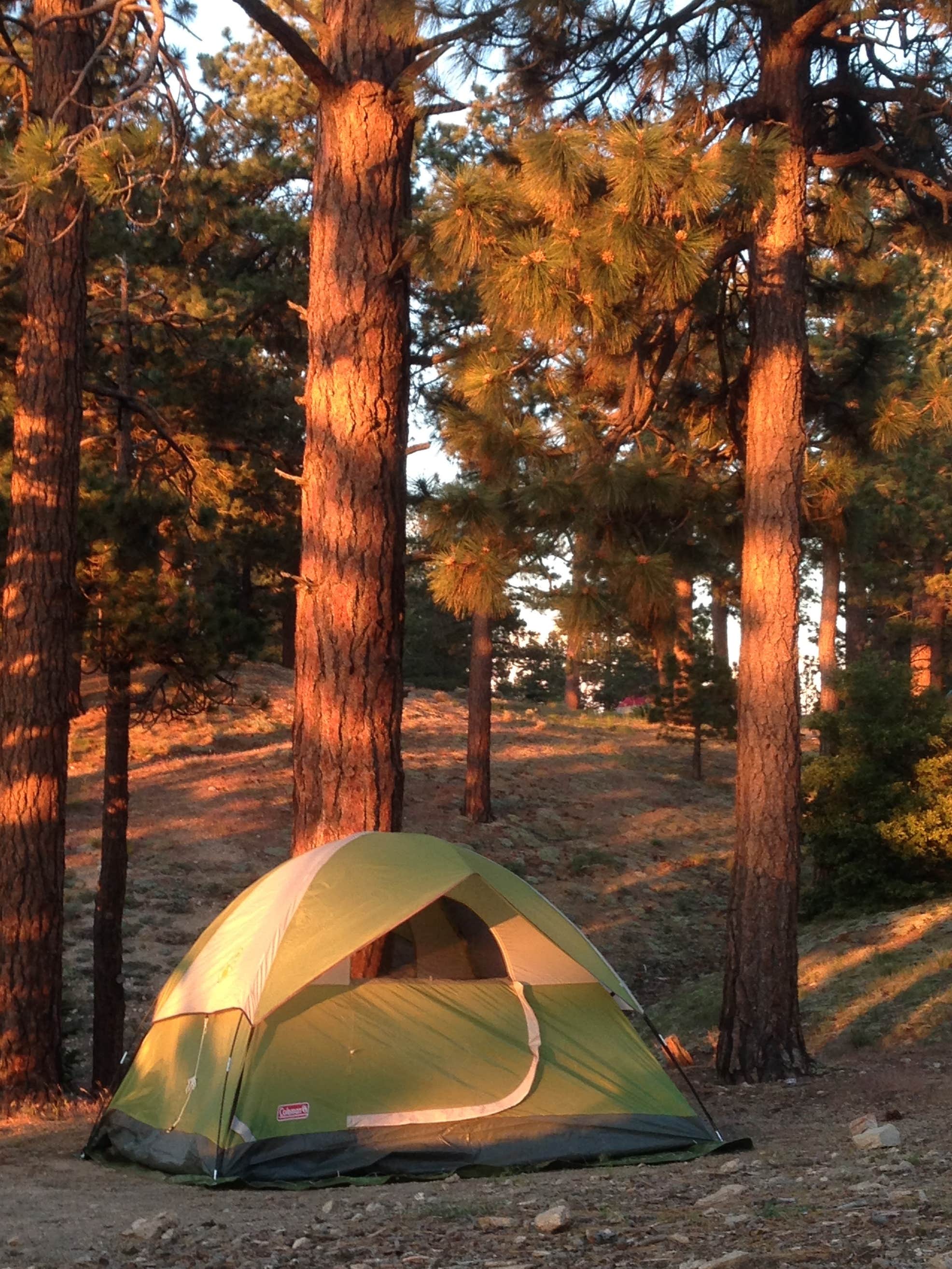 Table Mountain Campground Camping The Dyrt