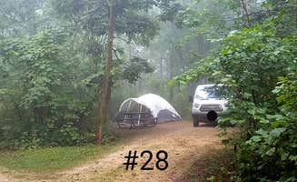 Mary S.'s photo at Great River Bluffs State Park Campground near Trempealeau, WI