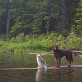 Review photo of Hideaway Lake Campground - Mt. Hood National Forest by Gretchen H., August 17, 2018