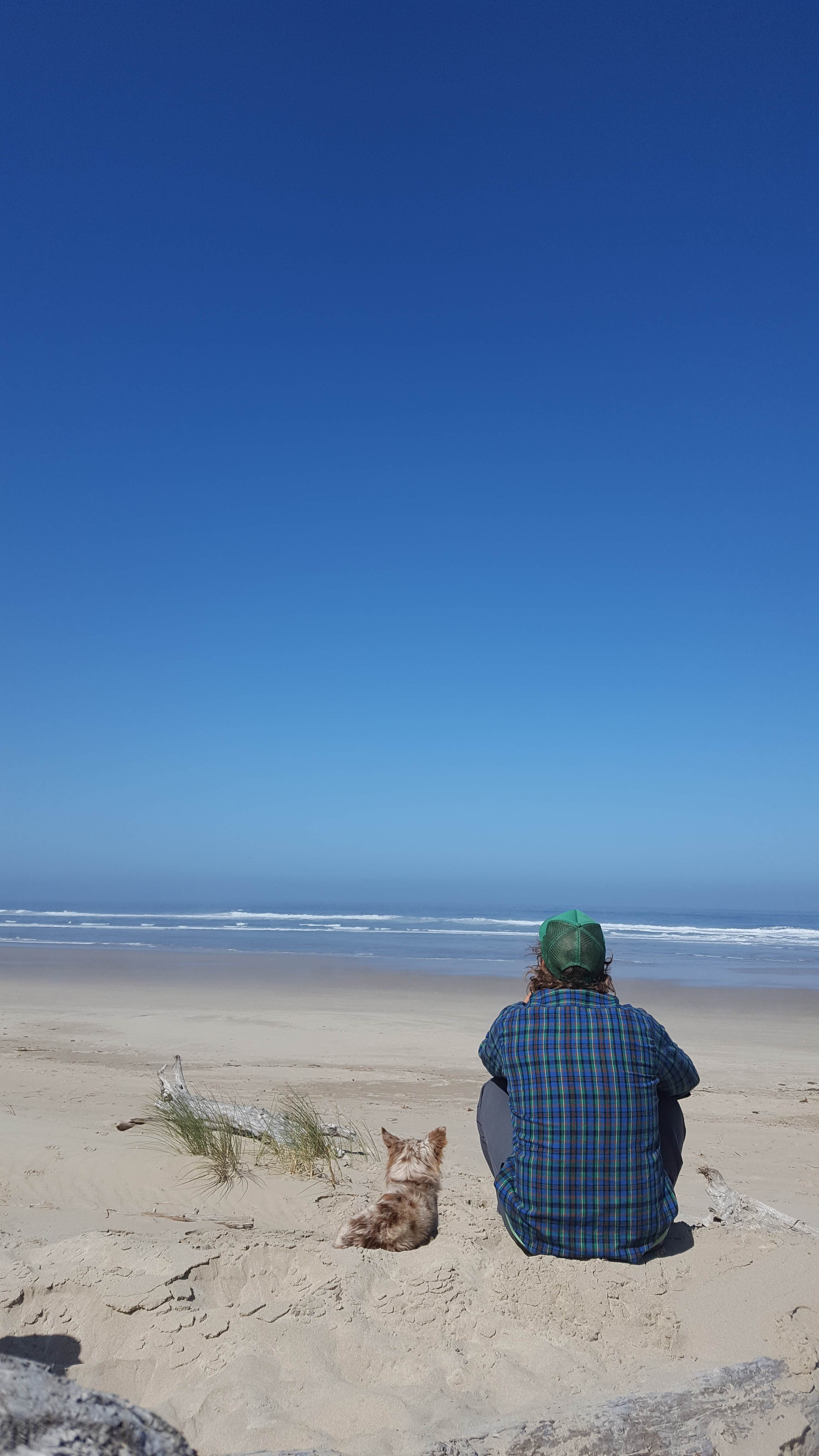 Camper submitted image from Tillamook Head National Recreation Trail - Hikers Only - 4