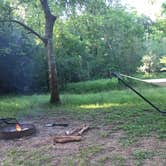 Review photo of Brazos Bend State Park Campground by Heather M., August 17, 2018