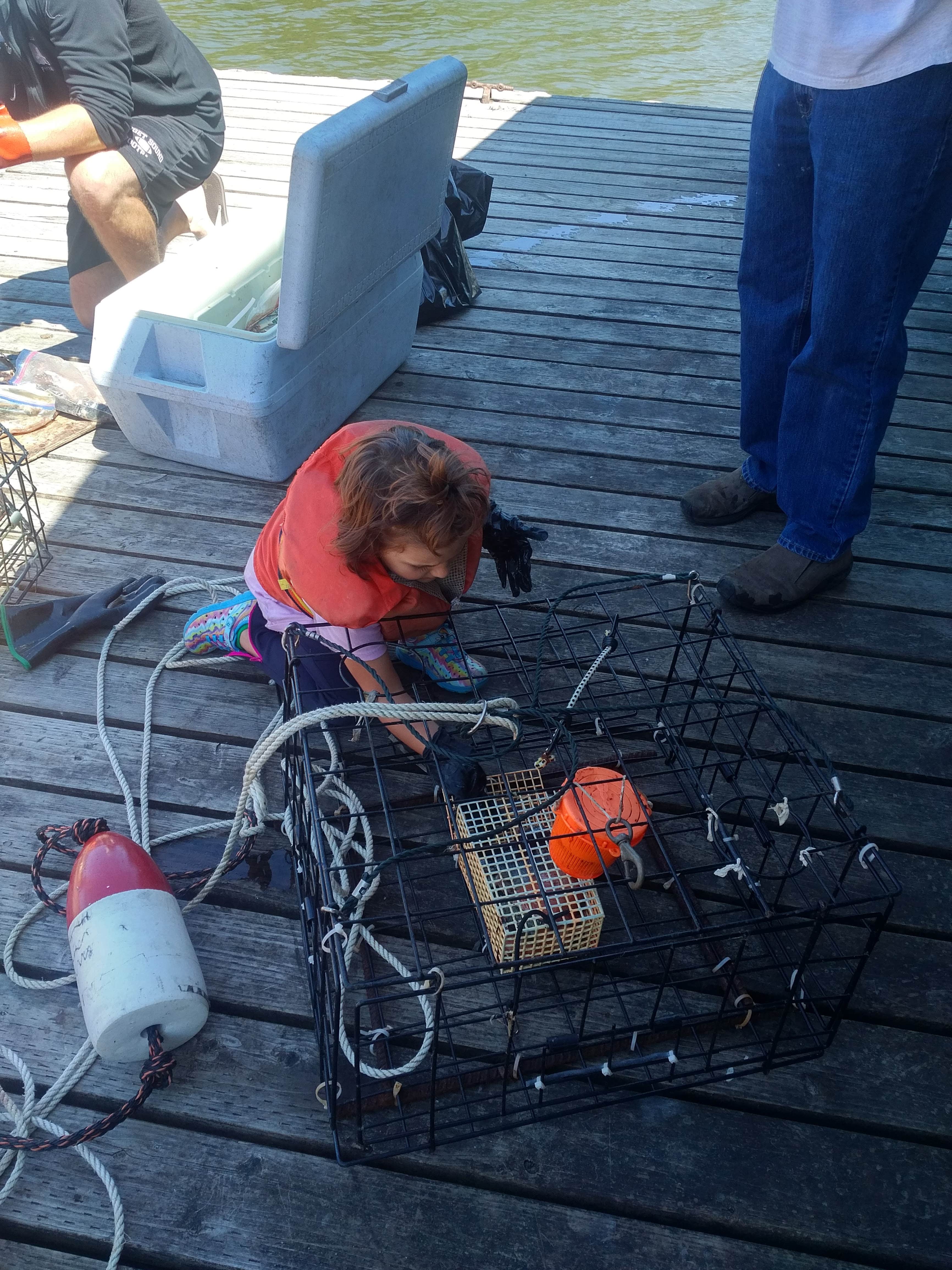 Camper-submitted photo at Bay Center-Willapa Bay KOA near Aberdeen, WA