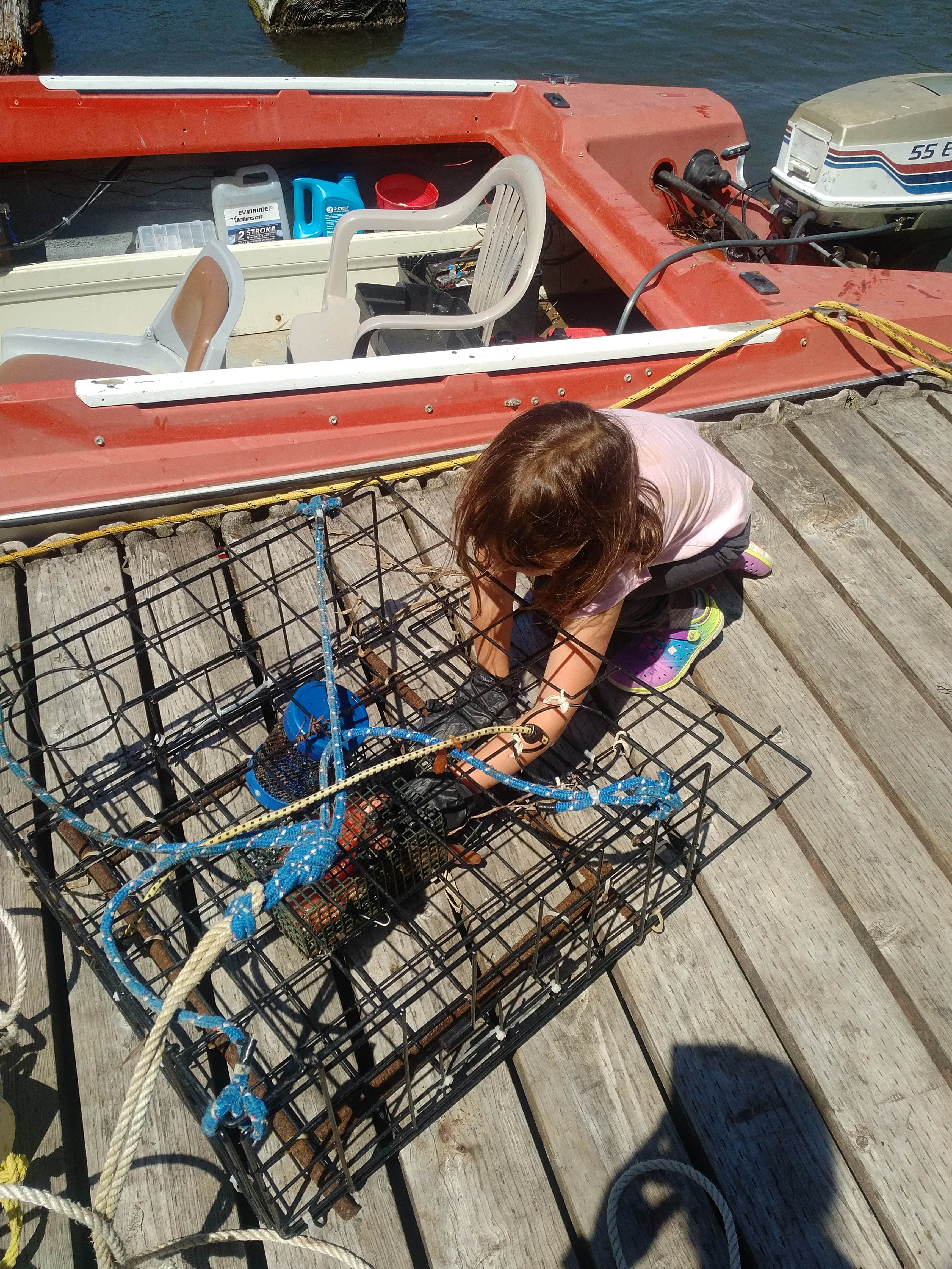 Camper-submitted photo at Bay Center-Willapa Bay KOA near Aberdeen, WA