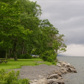 Review photo of Cayuga Lake State Park Campground by Meag F., July 31, 2016