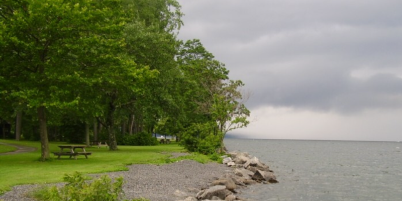 Camper submitted image from Cayuga Lake State Park Campground