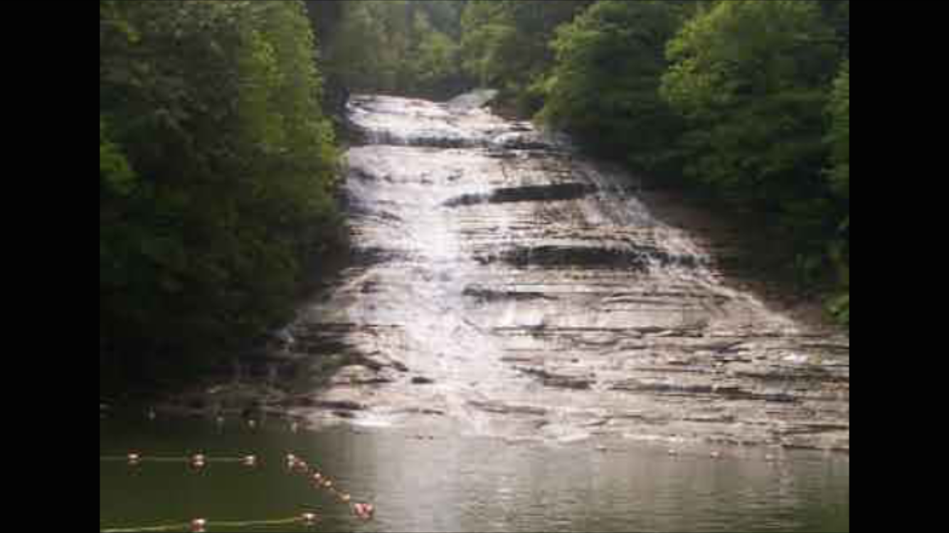 Camper submitted image from Cayuga Lake State Park Campground - 5