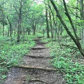 Review photo of St. Francois State Park Campground by Kelsie L., May 23, 2018