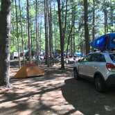 Review photo of Traverse City State Park Campground by Brittny B., August 17, 2018
