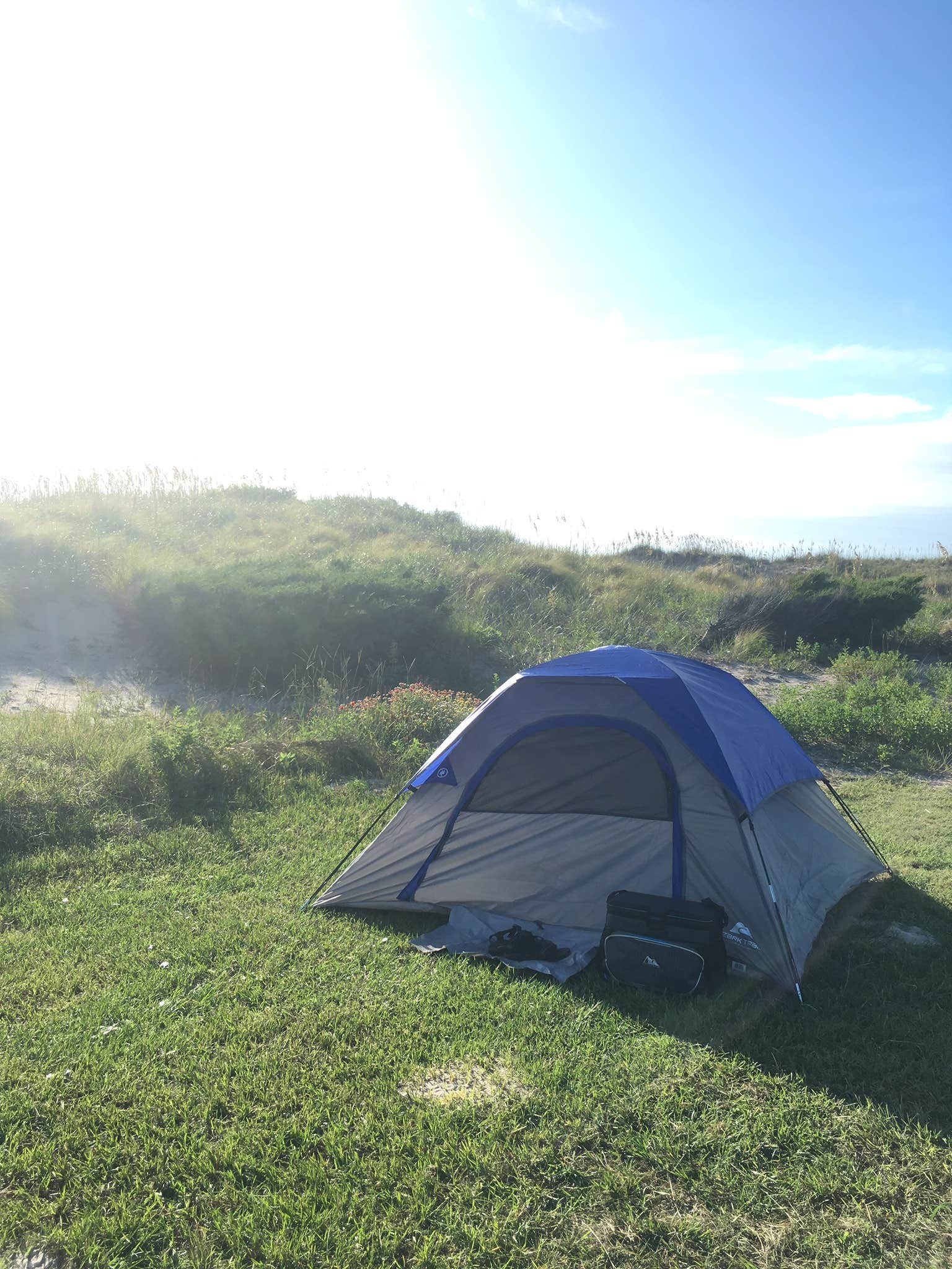 Alexis H.'s photo at Oregon Inlet Campground — Cape Hatteras National Seashore near Powells Point, NC