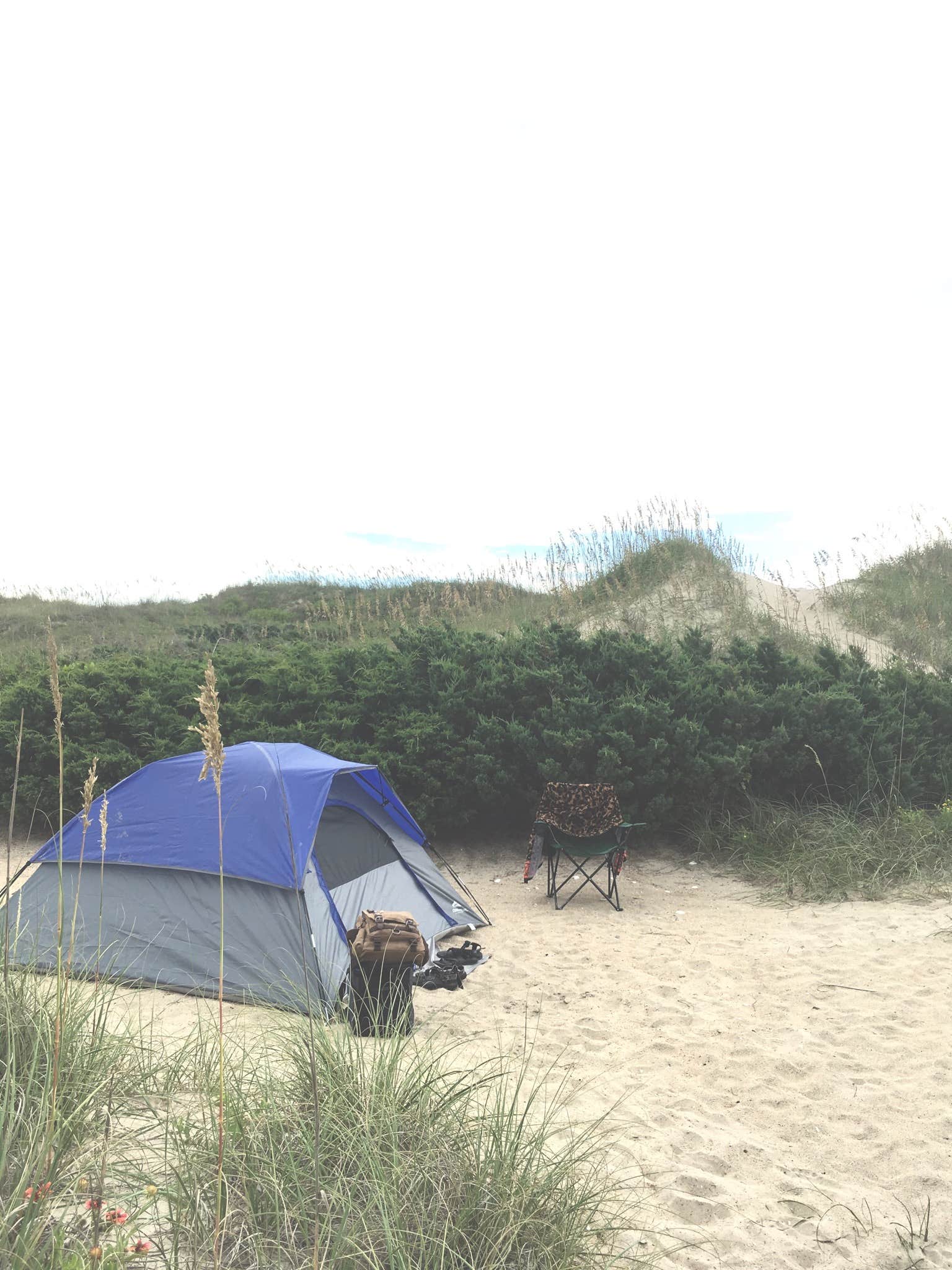 Alexis H.'s photo at Ocracoke Campground — Cape Hatteras National Seashore near Rodanthe, NC