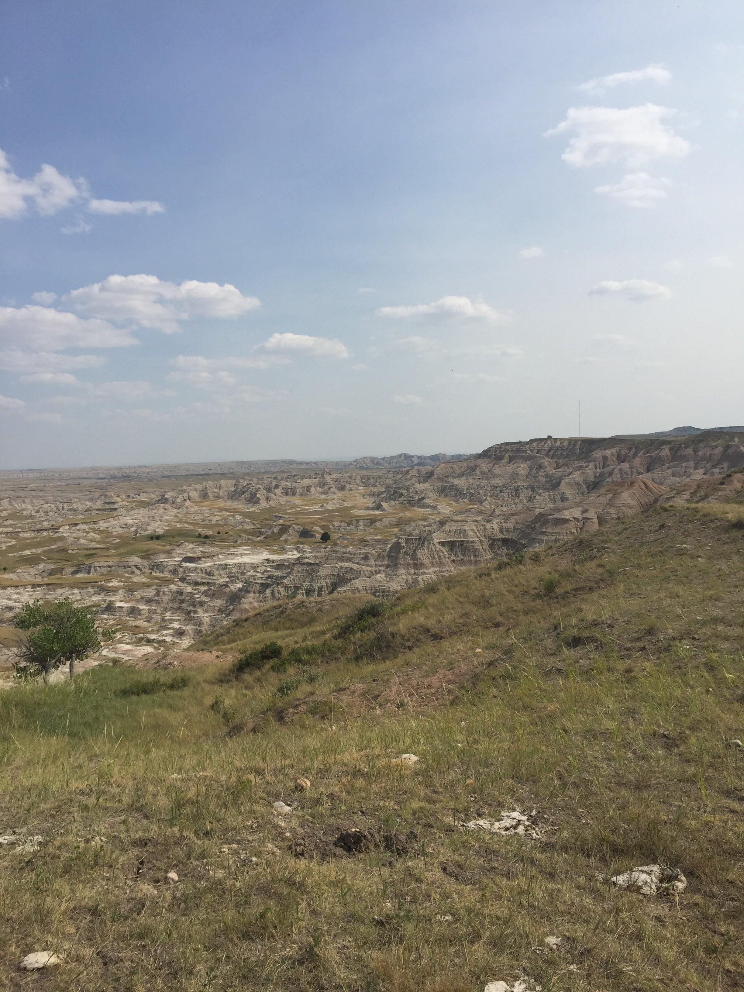 Camper submitted image from Buffalo Gap National Grassland - 2