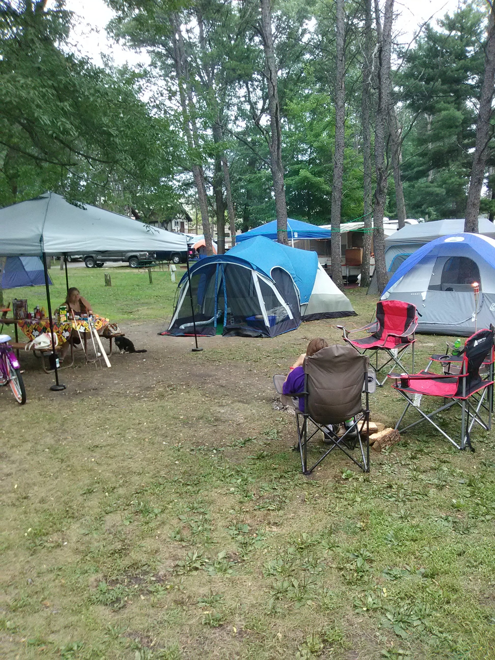 Camper submitted image from Sherwood Forest Campgrounds - 5