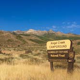 Review photo of Humboldt National Forest Angel Creek Campground by Deborah D., August 18, 2018