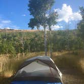 Review photo of Humboldt National Forest Angel Creek Campground by Deborah D., August 18, 2018