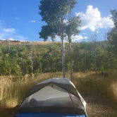 Review photo of Angel Creek Campground by Deborah D., August 18, 2018