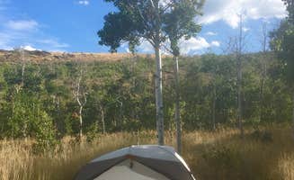 Deborah D.'s photo at Humboldt National Forest Angel Creek Campground near Deeth, NV