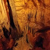 Review photo of Mammoth Cave Campground — Mammoth Cave National Park by Lahree C., August 18, 2018