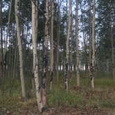 Review photo of Kenosha Pass Campground by Christa C., August 18, 2018