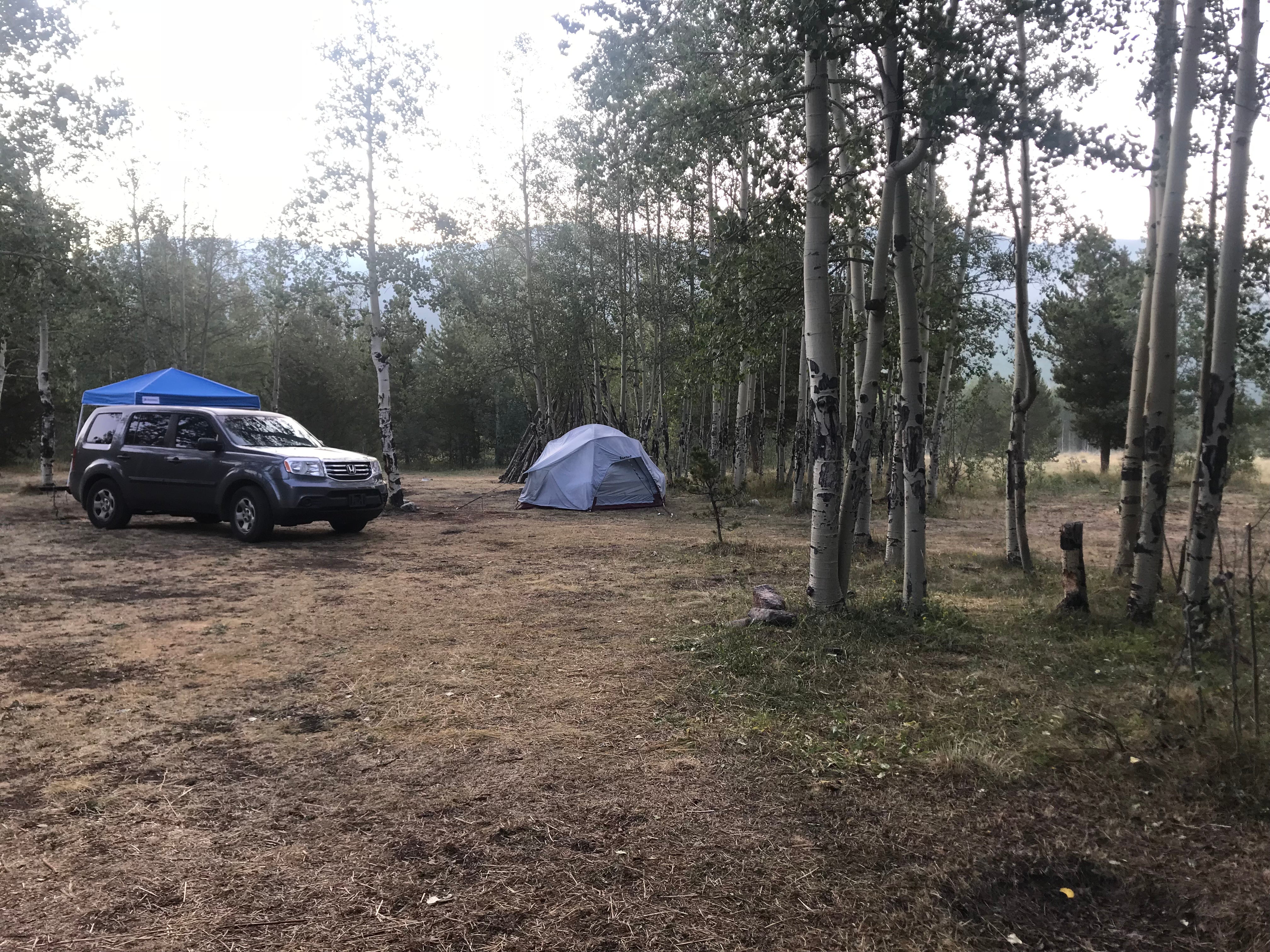Camper submitted image from Kenosha Pass Campground - 3