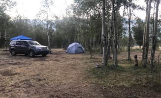 Christa C.'s photo at Kenosha Pass Campground near Jefferson, CO