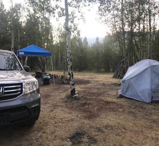 Camper-submitted photo from Kenosha Pass Campground