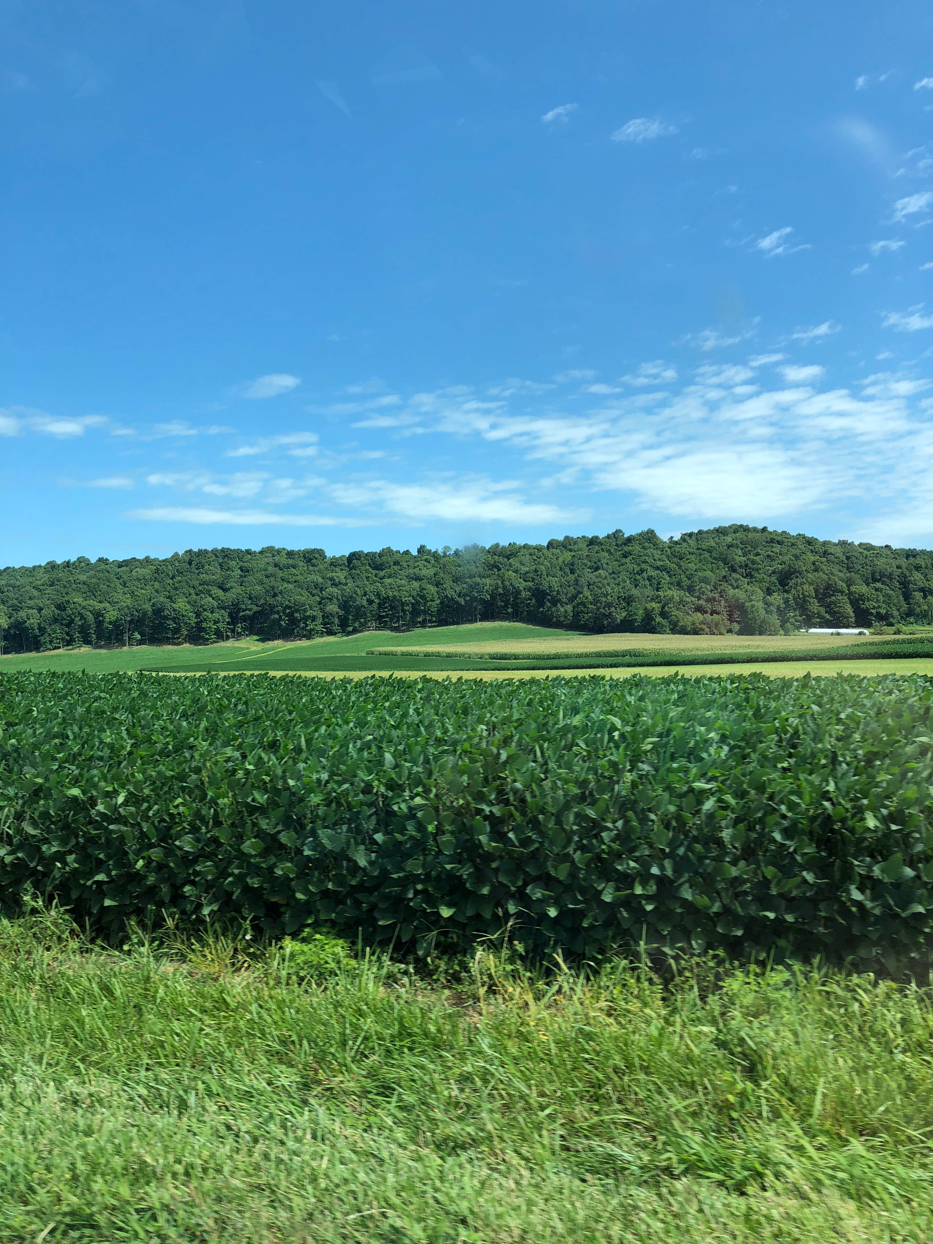 Camper-submitted photo at Paint Creek State Park Campground near Sabina, OH