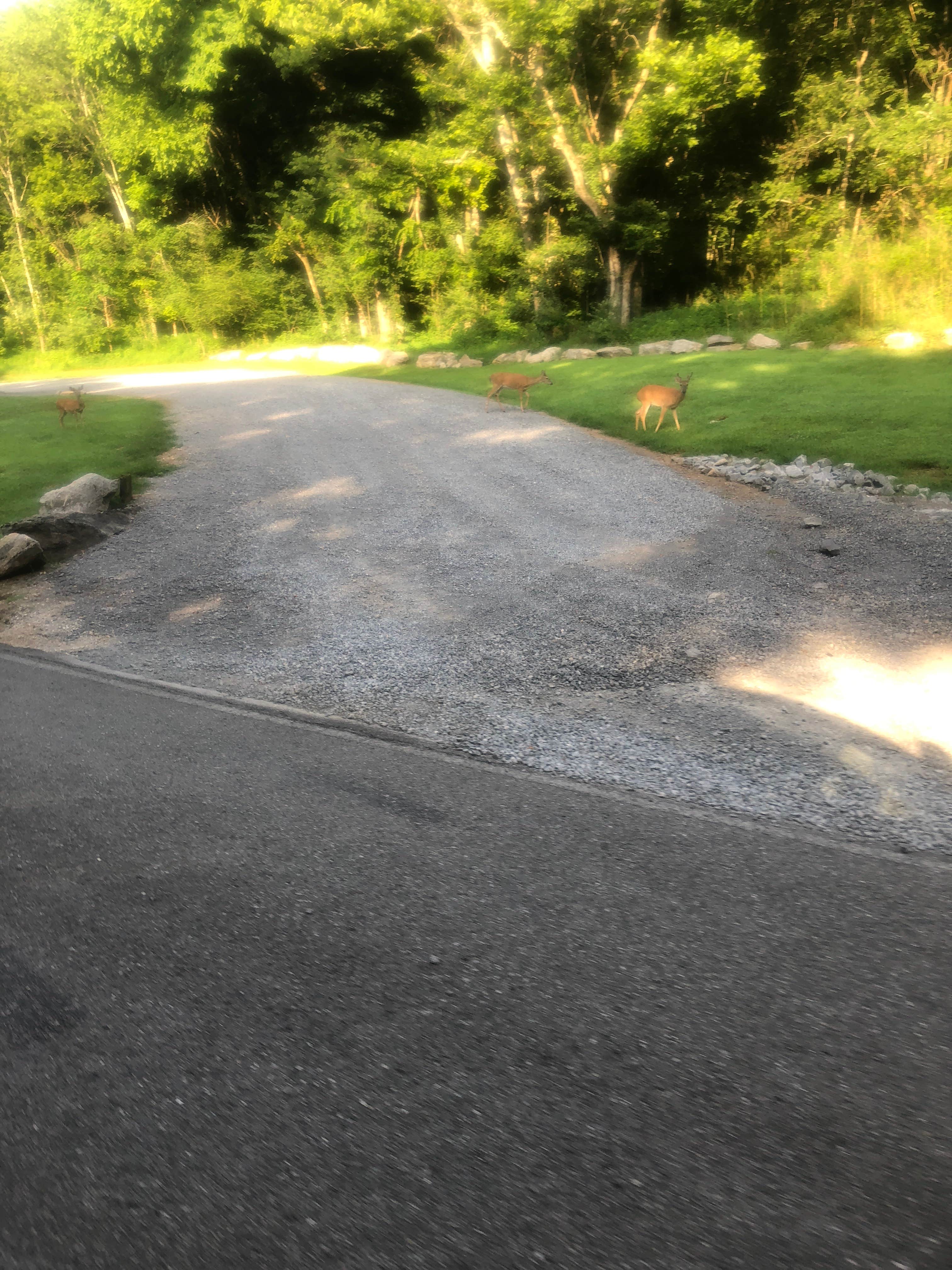Camper submitted image from Defeated Creek Campground - 3