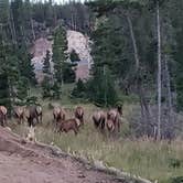 Review photo of Estes Park Campground at Mary's Lake by Kim B., August 18, 2018