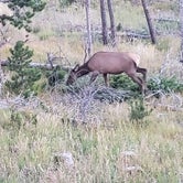 Review photo of Estes Park Campground at Mary's Lake by Kim B., August 18, 2018