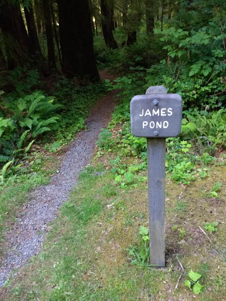 Camper submitted image from Mora Campground — Olympic National Park - 4