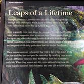 Review photo of Sol Duc Hot Springs Resort Campground — Olympic National Park by Jennifer T., August 18, 2018