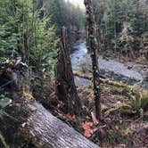 Review photo of Sol Duc Hot Springs Resort Campground — Olympic National Park by Jennifer T., August 18, 2018