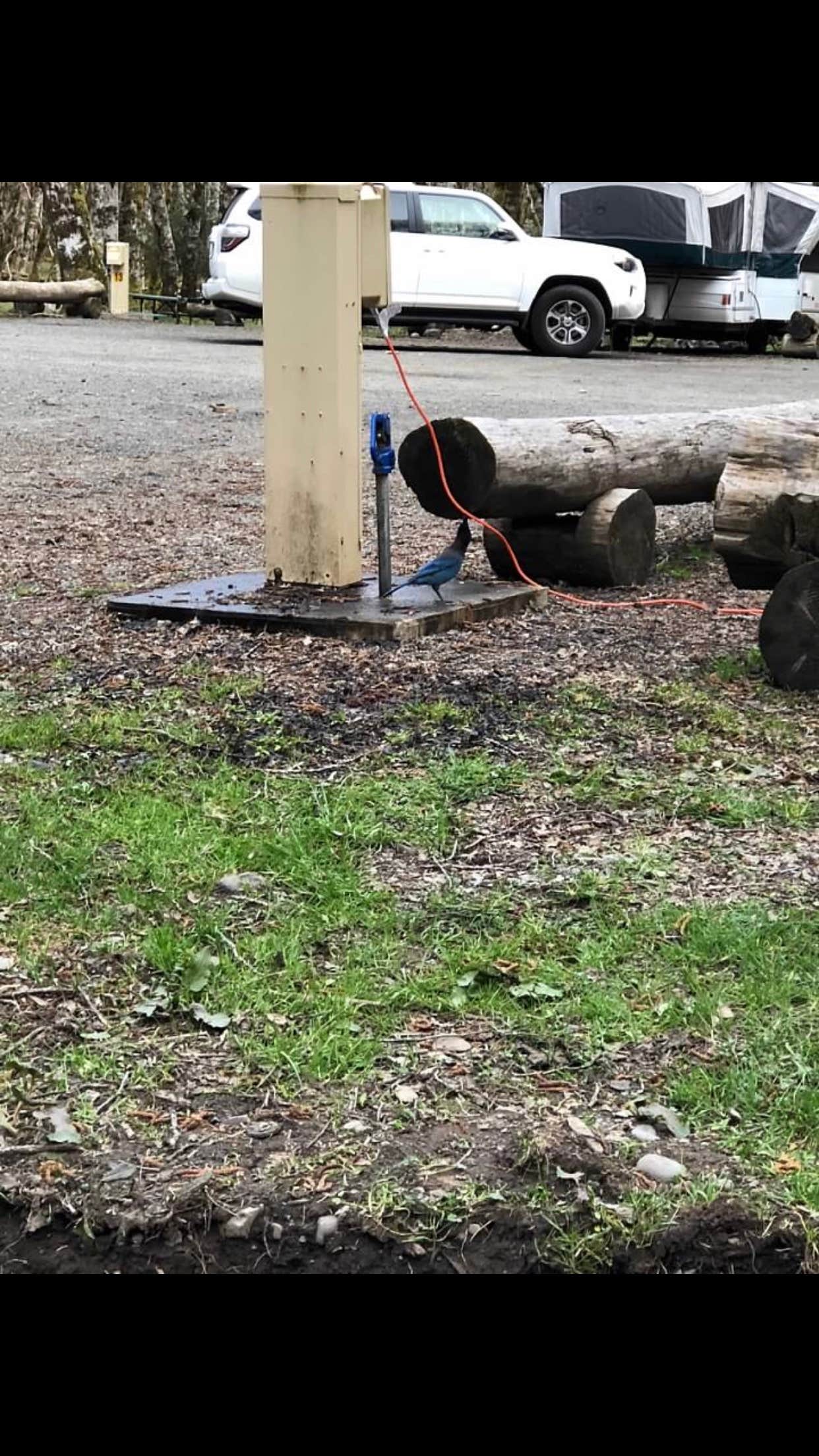 Jennifer T.'s photo of rv camping at Sol Duc Hot Springs Resort Campground — Olympic National Park near Olympic National Park