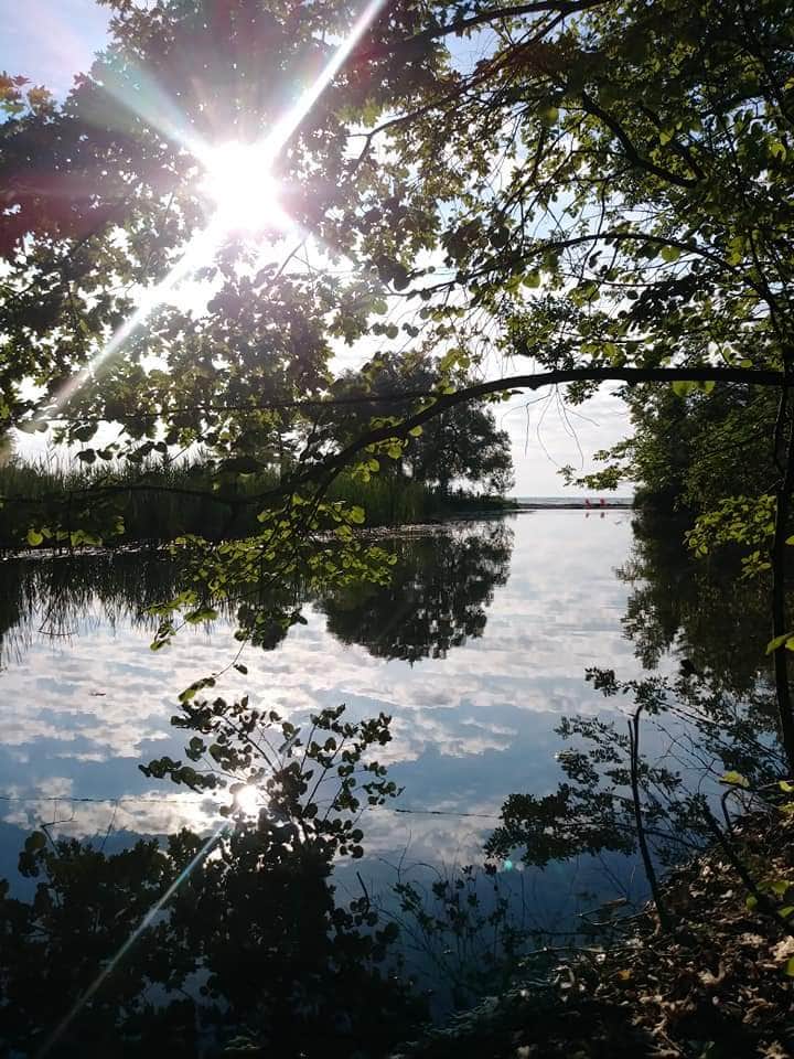 Camper-submitted photo at Forester Park Campground near Avoca, MI