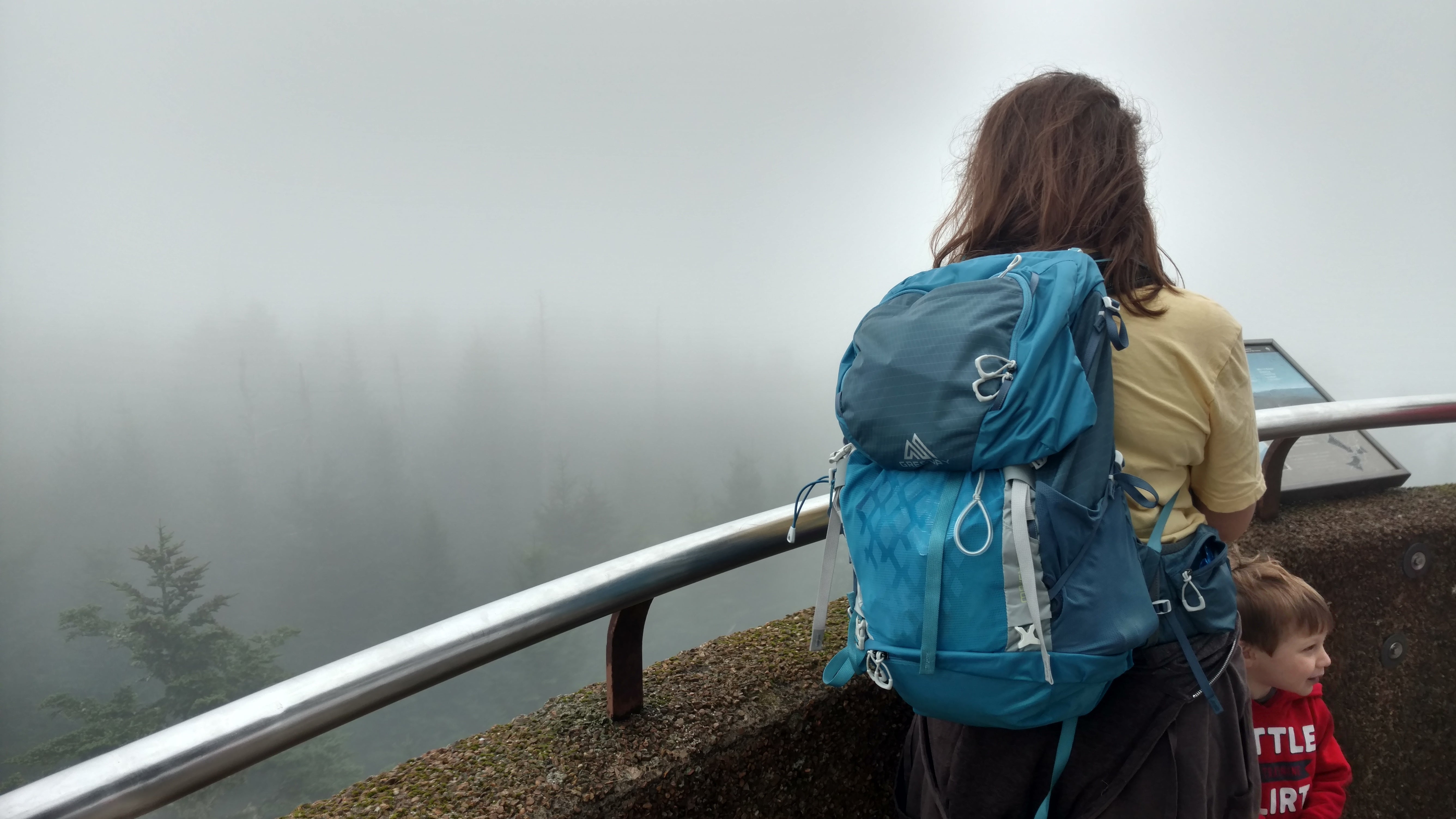 Our foggy view from the top of Clingman's Dome