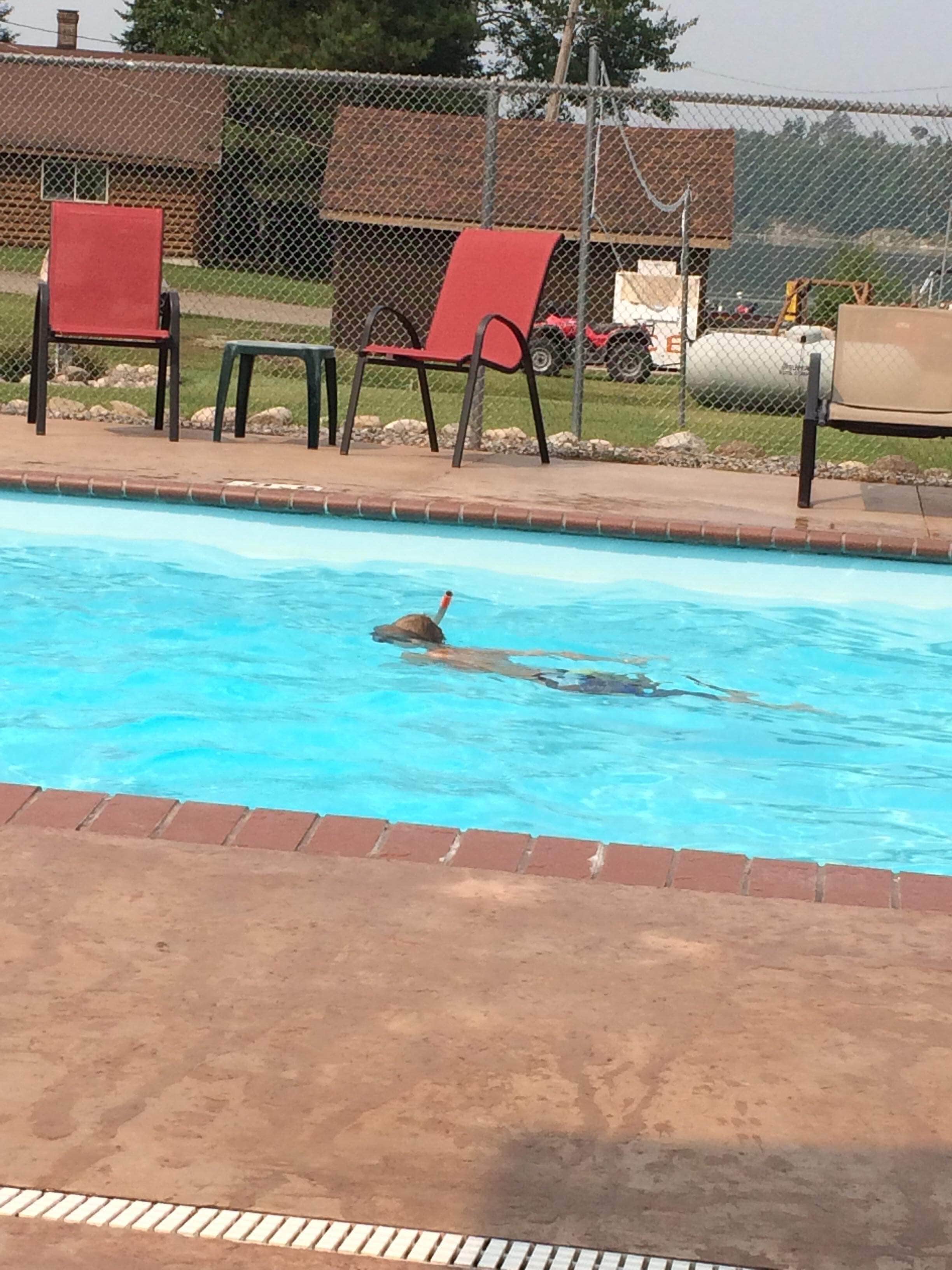 Camper-submitted photo at Aspen Resort & Campground near Chisholm, MN