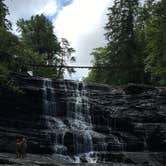 Review photo of Fall Creek Falls State Park Campground by Alicia B., July 31, 2016