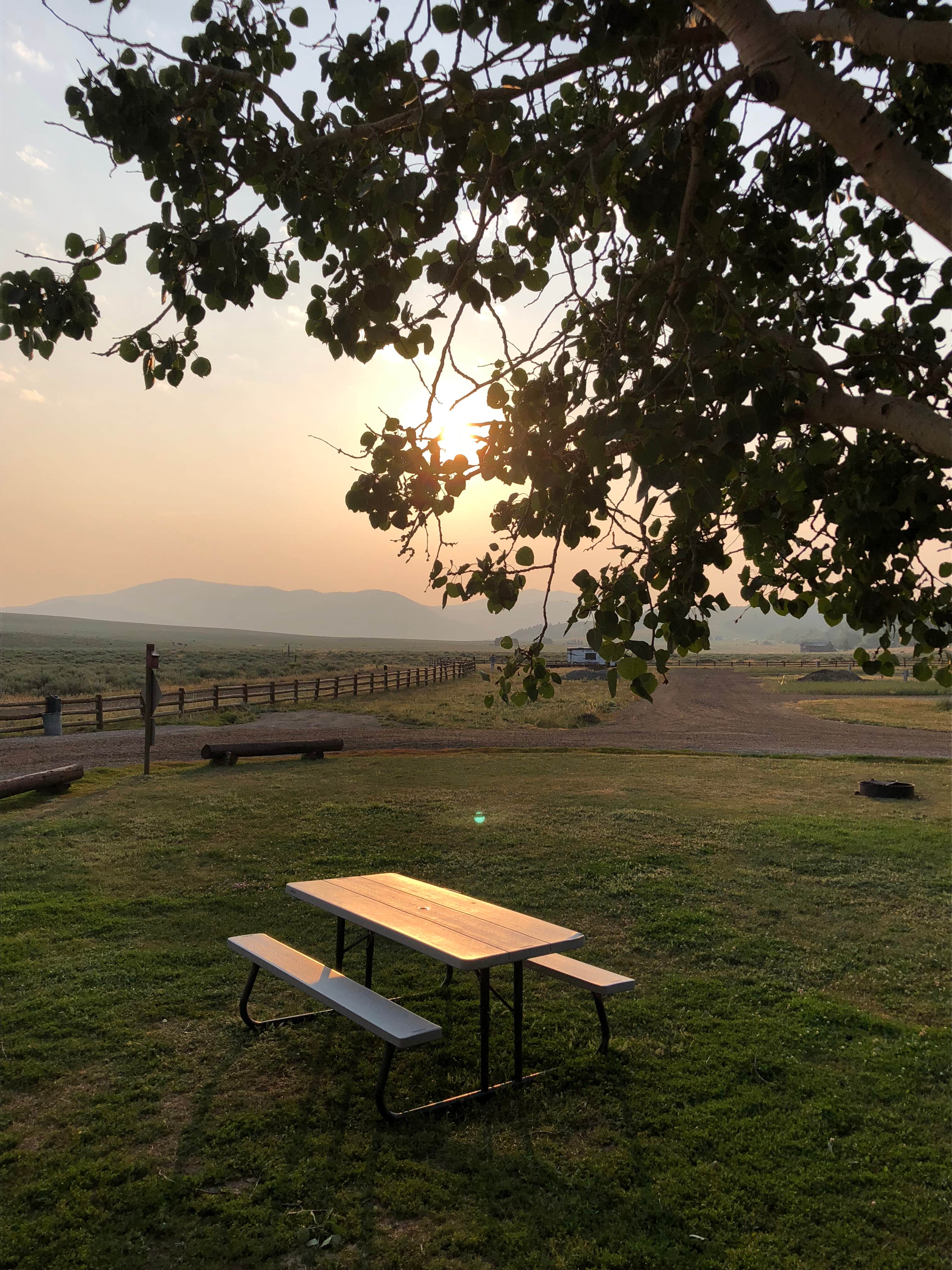 Camper submitted image from Redrock RV Park - 4